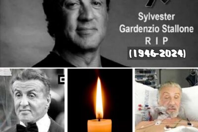 30 minutes ago / The family announced the sad news of Action movie legend Sylvester Stallone (NG)