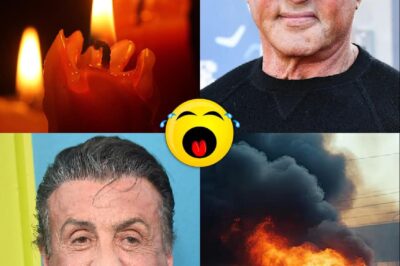 30 minutes ago / The family announced the sad news of Action movie legend Sylvester Stallone (NG)