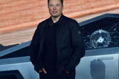 Elon Musk once called Tesla a mission, not a paycheck—now his biggest investor says greed, not vision, drives him. What really sparked the $55B pay war?