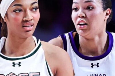 Angel Reese once looked up to Napheesa Collier as a role model—now she says ambition, not admiration, defines their path. What really shifted after the $35M power move?