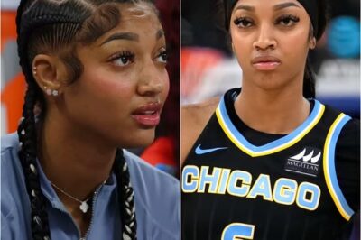 Angel Reese faces a hefty fine after calling for WNBA players to not participate in the 2025 season. Angel Reese’s career is at risk of ending permanently.