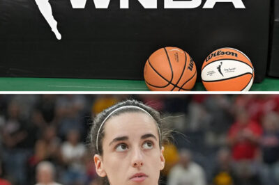 REPORT: New Data Shows Just How Screwed the WNBA Is Without Caitlin Clark (an)