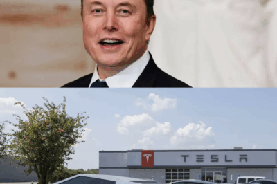 $800,000,000 in Cybertrucks Nobody Wants? What’s Going Wrong at Tesla