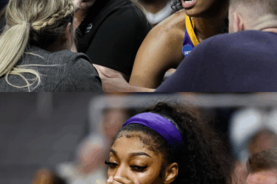 Chicago Sky Hit by $38 Million Blow — Angel Reese’s Team Faces Major Financial Shake-Up
