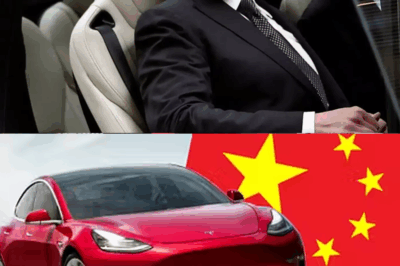 Elon Musk in Talks to Sell SpaceX Stake to China Amid Tesla’s $400 Billion Financial Crisis