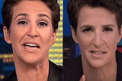 Rachel Maddow’s Hidden Struggles: What Success Really Cost the MSNBC Star
