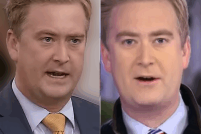 The Truth Behind Peter Doocy’s Viral White House Moments — What He Just Admitted