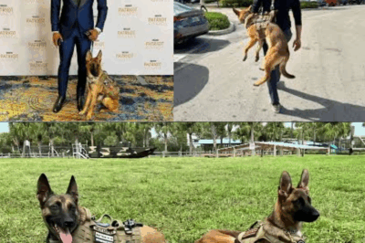 “Unbelievable! Nala the Dog’s Journey to Fox News Takes a Shocking Twist – Lawrence Jones Becomes Her Savior, and a Fateful Bond Turns TV History on Its Head!”