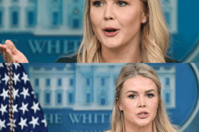 Karoline Leavitt Shocks Social Media with Controversial Statement