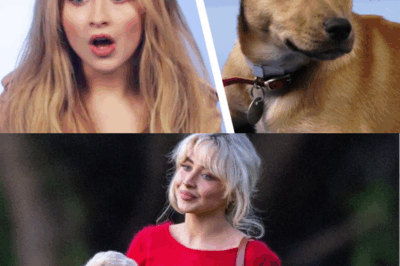 “Sabrina Carpenter’s Adorable New Puppy Is Stealing the Spotlight — See the Sweet Photos”