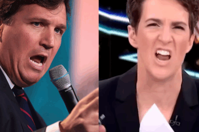 Rachel Maddow vs Tucker Carlson: Inside the Unresolvable Conflict Shaking Media