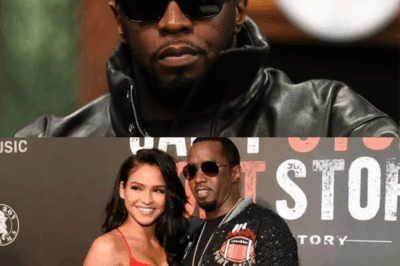 Inside the Explosive Raid on Diddy’s Mansion: What Investigators Really Found