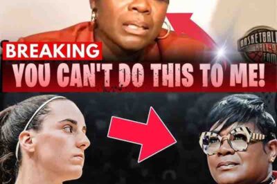Sheryl Swoopes Fired from WNBA TV Following Controversial Comments About Caitlin Clark (an)