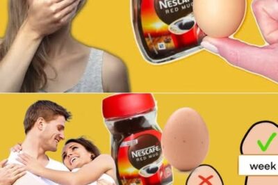 Unlocking the Benefits of Eggs and Coffee: A Nutritious and Energizing Duo!
