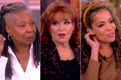 ‘The View’ Hosts In Hot Water After ABC Gives Them This Warning (NG)