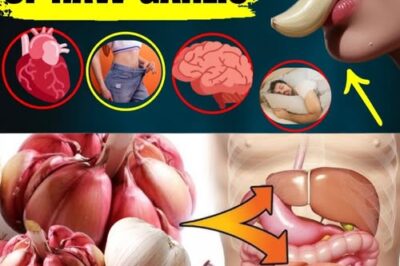 🧄 Eating Raw Garlic Before Bed: The Nighttime Health Habit You Didn’t Know You Needed