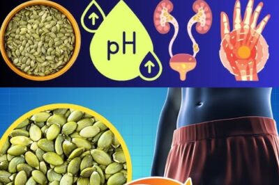 15 Health Benefits of Eating Pumpkin Seeds Every Day
