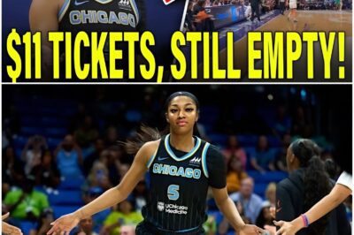 🔴 SH0CK!NG TURNAROUND: Angel Reese STUNNED as LSU Gym Remains DESERTED for Sky Preseason — Even the Cheapest Tickets FAILED to Fill the Seats /đh
