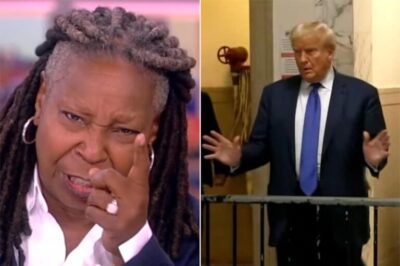 Whoopi Goldberg Signs Off ‘The View’ With Call To Anti-Trump ‘Resistance’ (NG)