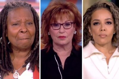 ‘The View’ Hosts In Hot Water After ABC Gives Them This Warning