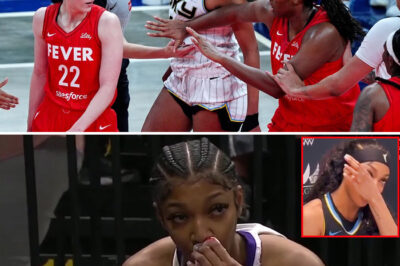 WNBA Investigating Fans Who Yelled Racial Slurs at Angel Reese During Indiana Game (an)