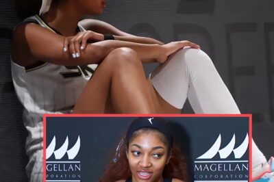 Angel Reese GOES OFF After WNBA Ratings and Ticket Prices Plummet Without Caitlin Clark (an)