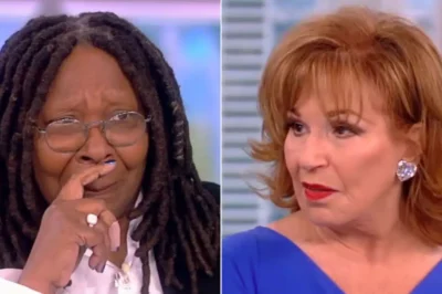 Disney CEO Drops Trump Bombshell On Ladies of ‘The View’