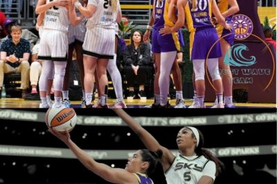 LA Sparks vs. Chicago Sky | Game Highlights and Recap – May 25, 2025 (NH)