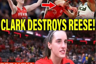 CAITLIN CLARK PUTS ANGEL REESE IN HER PLACE AS INDIANA FEVER DESTROY CHICAGO SKY! (NH)