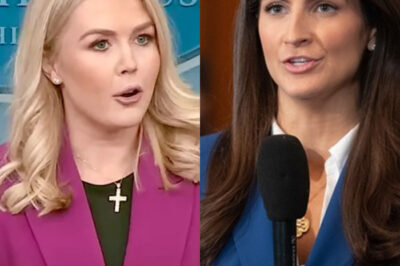 THIS JUST HAPPENED: Reporter FIRED After INSULTING Karoline Leavitt LIVE on TV /d
