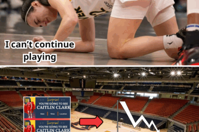 “They Didn’t Want You to See This: What Happened to the Fever Crowd After Caitlin Clark’s Injury Will BREAK Your Heart!”