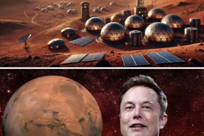 Breaking: Elon Musk predicts Earth’s end date, urges urgent colonisation of Mars