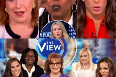 TV BOMBSHELL: “The View” Faces Backlash, Possible Fine After Karoline Leavitt Files Formal Complaint Over Alleged On-Air Humiliation (NG)