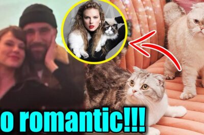 Travis Kelce, a Lifelong Dog Devotee, STUNS Fans by Bringing a CAT Into His Home with Taylor Swift — The Couple’s WHIMSICAL Move to “Add Chaos” to Their Mansion and the CAT’S HILARIOUS, UNBELIEVABLE Name Has Social Media HOWLING in Disbelief!