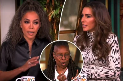 ‘The View’ Hosts In Hot Water After ABC Gives Them This Warning
