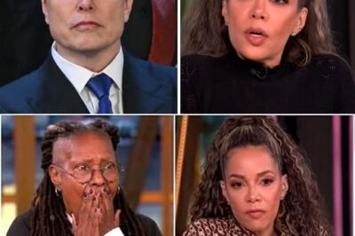 TV ERUPTS IN CHAOS: Sunny Hostin STUNS ‘The View’ Audience by Calling Elon Musk a “Bastard” LIVE On Air — Musk’s Unexpected Response FREEZES the Studio as Joy Behar Scrambles to Apologize — What Sparked the Outburst? Viewers and Execs in Total Shock!