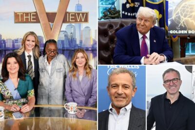 Disney CEO Told Hosts of ‘The View’ to Tone Down Trump-Bashing
