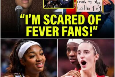 Angel Reese & Her Fans CAUGHT LYING To ATTACK Caitlin Clark & Indiana Fever!