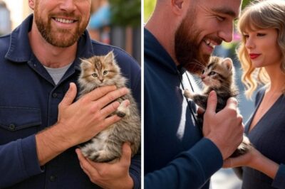 HEART-MELTING RESCUE: Travis Kelce Hunts Down a Kitten for Taylor Swift After Stray Cat Gina Wins Her Heart—Fans Can’t Handle the Cuteness!