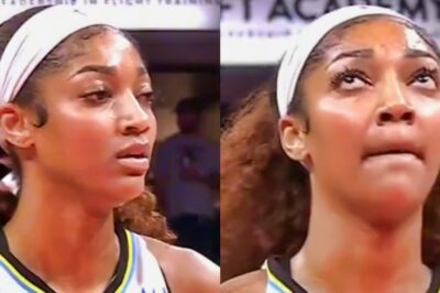 New Video Footage Surfaces With “Monkey” Noises Coming From The Crowd In Indiana During Angel Reese’s Free Throws After WNBA Announces Investigation Following Caitlin Clark Incident