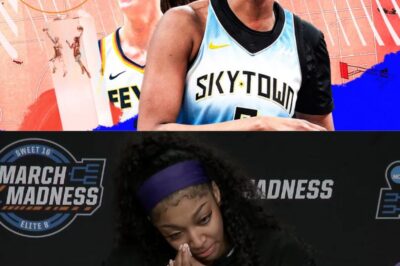 Angel Reese vs. The WNBA: Why Stats, Social Media & Star Power Put Her in a League of Her Own NH