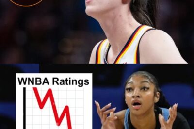 WNBA Ticket Sales and Ratings Plummet Without Caitlin Clark: What It Means for the League (NH)