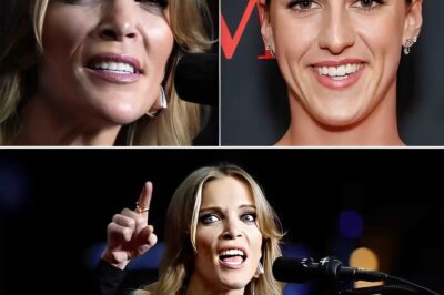 Megyn Kelly Attacked Caitlin Clark For Addressing White Privilege. Here’s What Kelly’s Missing. (an)