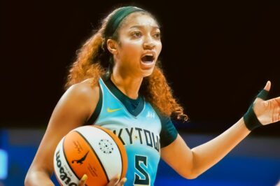 Everyone Is Calling For Chicago Sky GM To Be Fired After He Breaks Silence On Angel Reese’s Play On The Court (an)