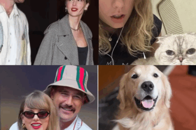 Dog-Lover Travis Kelce Makes Bizarre Move With Taylor Swift — Adopts a Cat With the Strangest Name You’ve Ever Heard