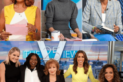 Former The View Host Accused of Selling Private Information About Co-Hosts to Tabloids, Raising Questions About Trust and Privacy