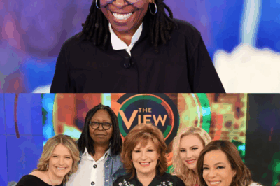 The Shocking Truth About Whoopi Goldberg’s Hidden Mega Salary: Secret Pay Nearly DOUBLE Official Figures — Behind-the-Scenes Fury Erupts Among Co-Hosts Who Feel Betrayed and Undervalued!