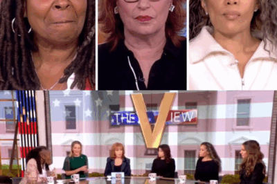 URGENT WARNING: ‘The View’ Hosts Urgently Summoned by ABC – New Banning Order Causes Shock, Fans Ask: What’s Going On?