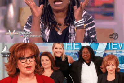 “Did you just call me an old broad?”: The View’s Whoopi Goldberg Calls Out Heckler Who Openly Insulted Her on Live TV: ‘Say It Again — I Dare You’