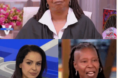‘Dumb, Dishonest, Dangerously Delusional’: Rita Panahi Unleashes Blistering Critique of Whoopi Goldberg in Fiery Broadcast